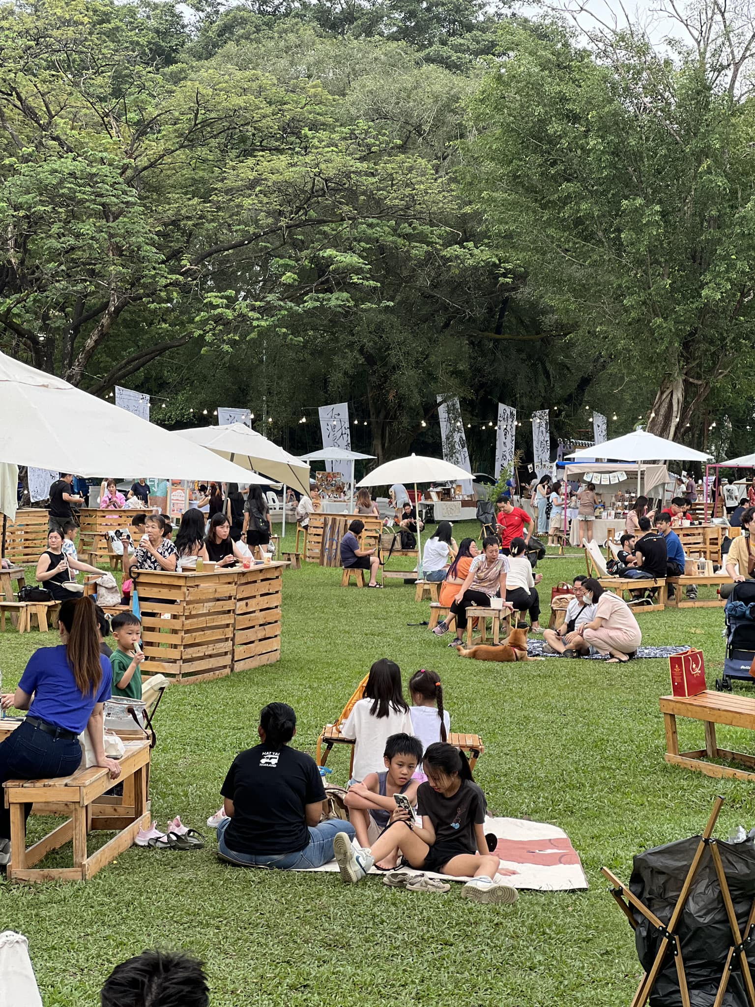 Pallet furniture for rent